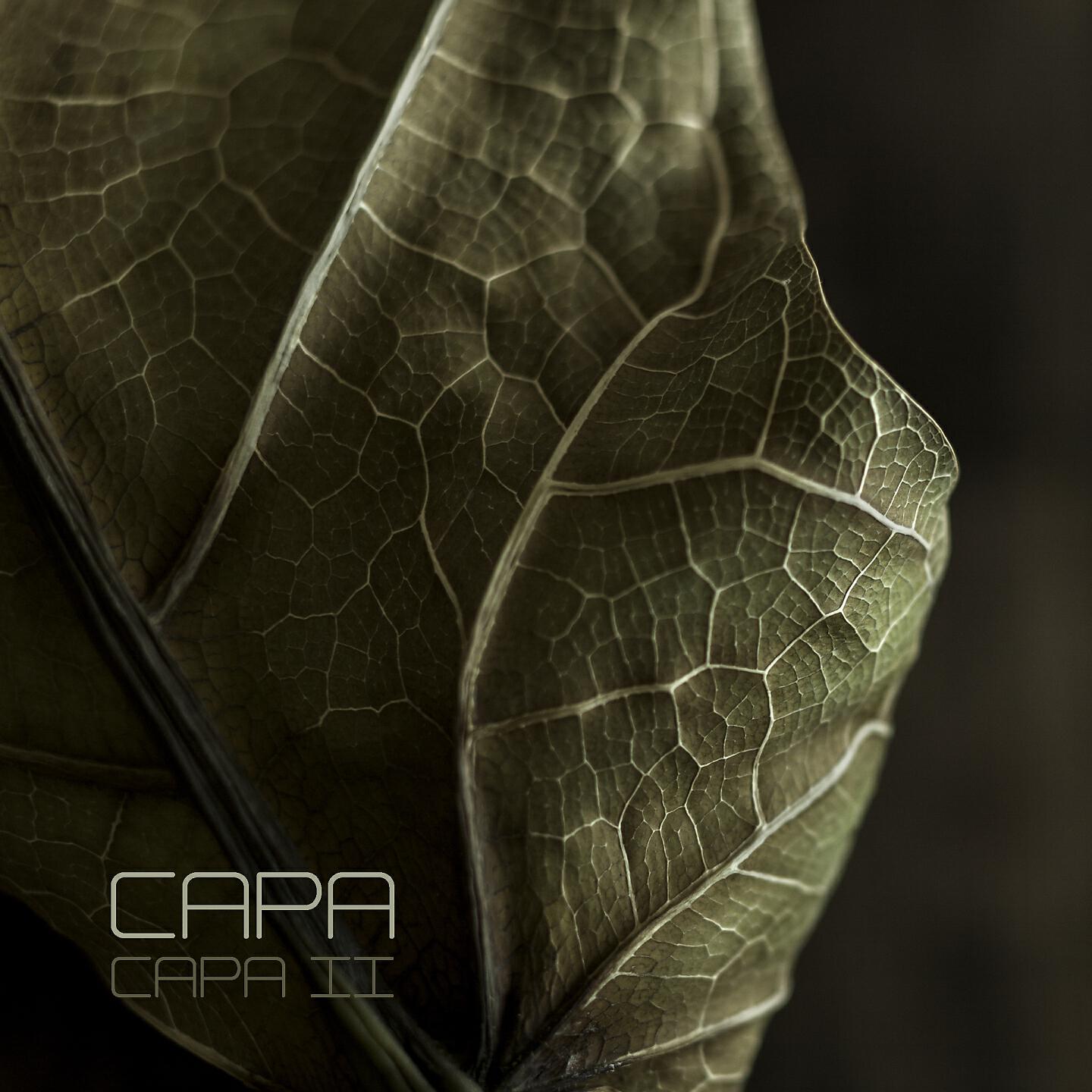 CAPA - By Your Stair