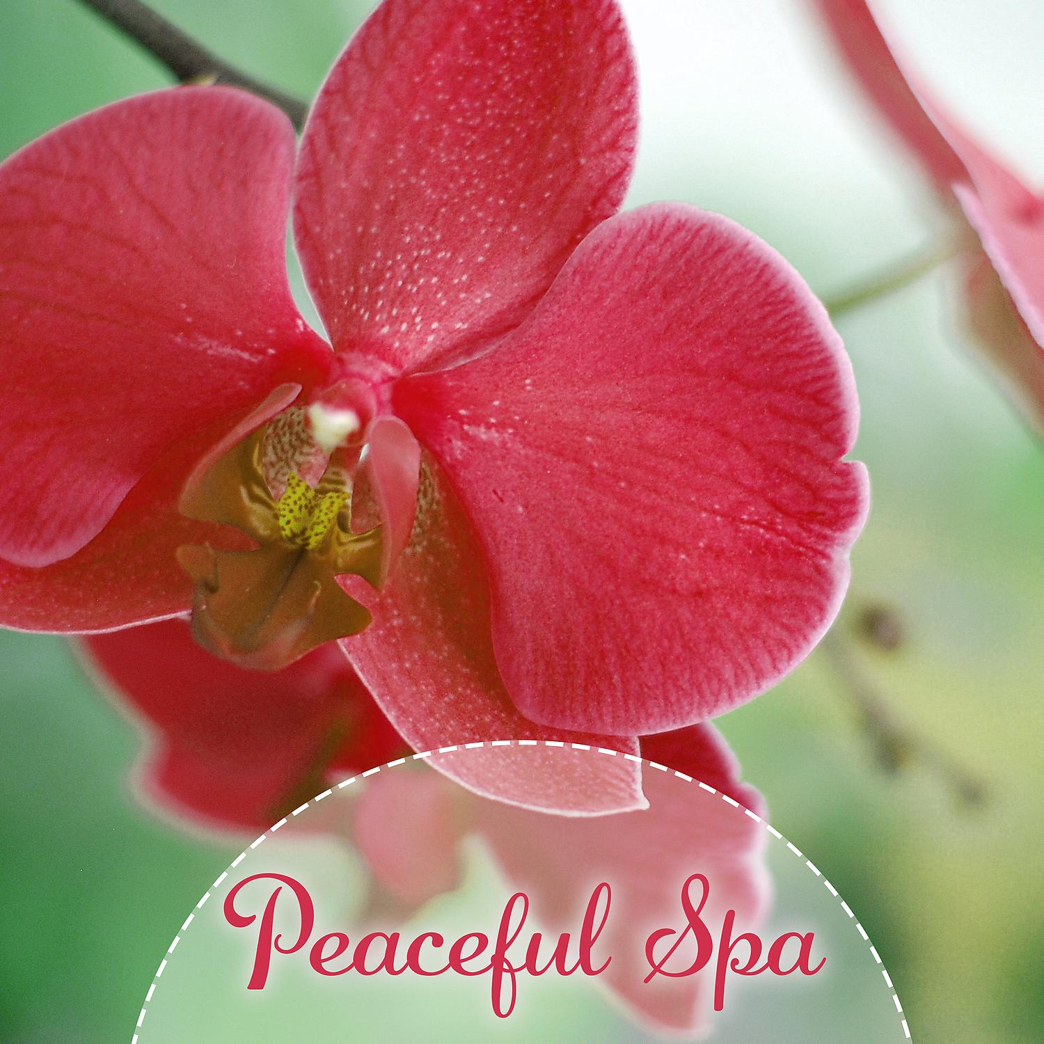 Постер альбома Peaceful Spa – Relaxation Melodies for Wellness, Deep Sleep, Pure Massage, Soothing Music