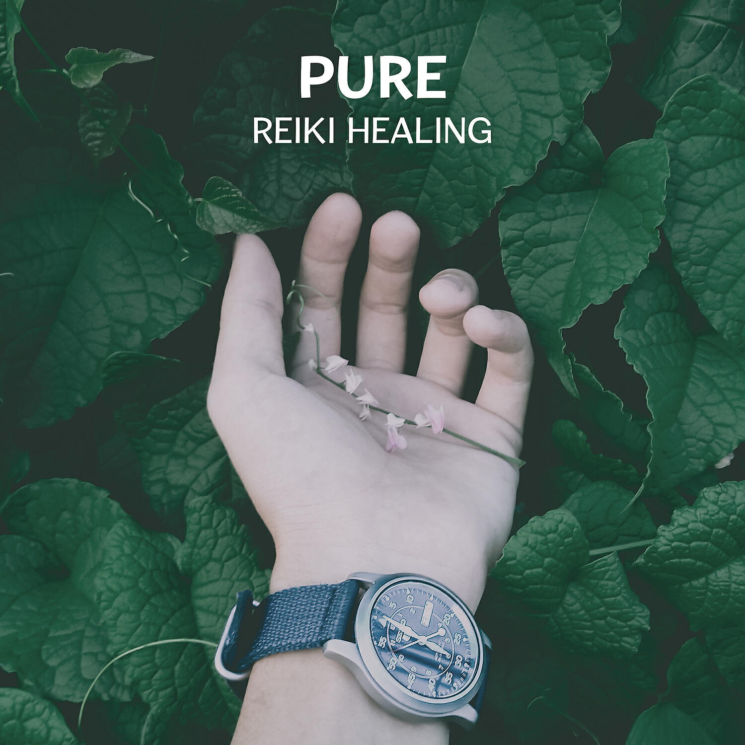 Spiritual Transformation Music Academy - Zen Practice (Nature Meditation)