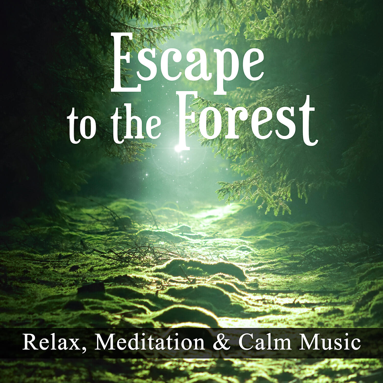Chakra Healing Music Academy - The Sound of Rain