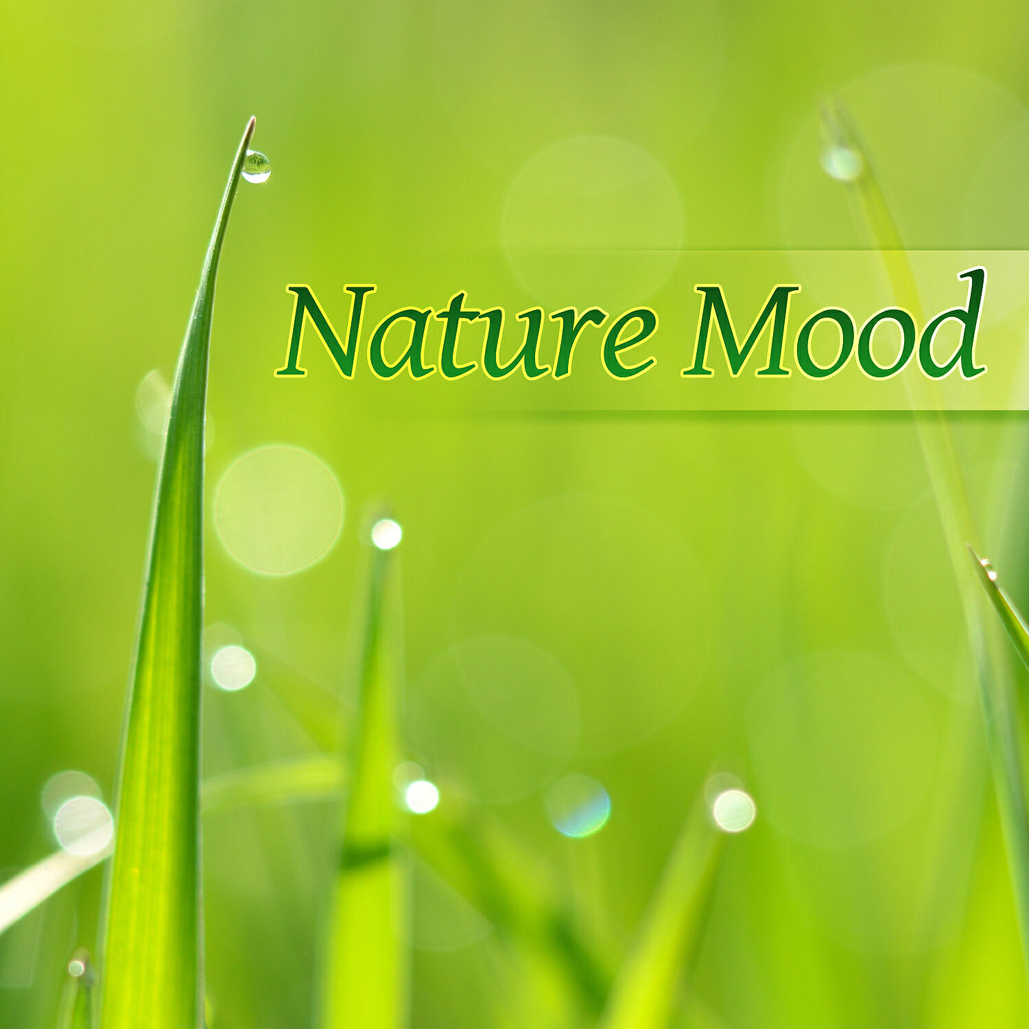 Feeling Better - Evening Meditation