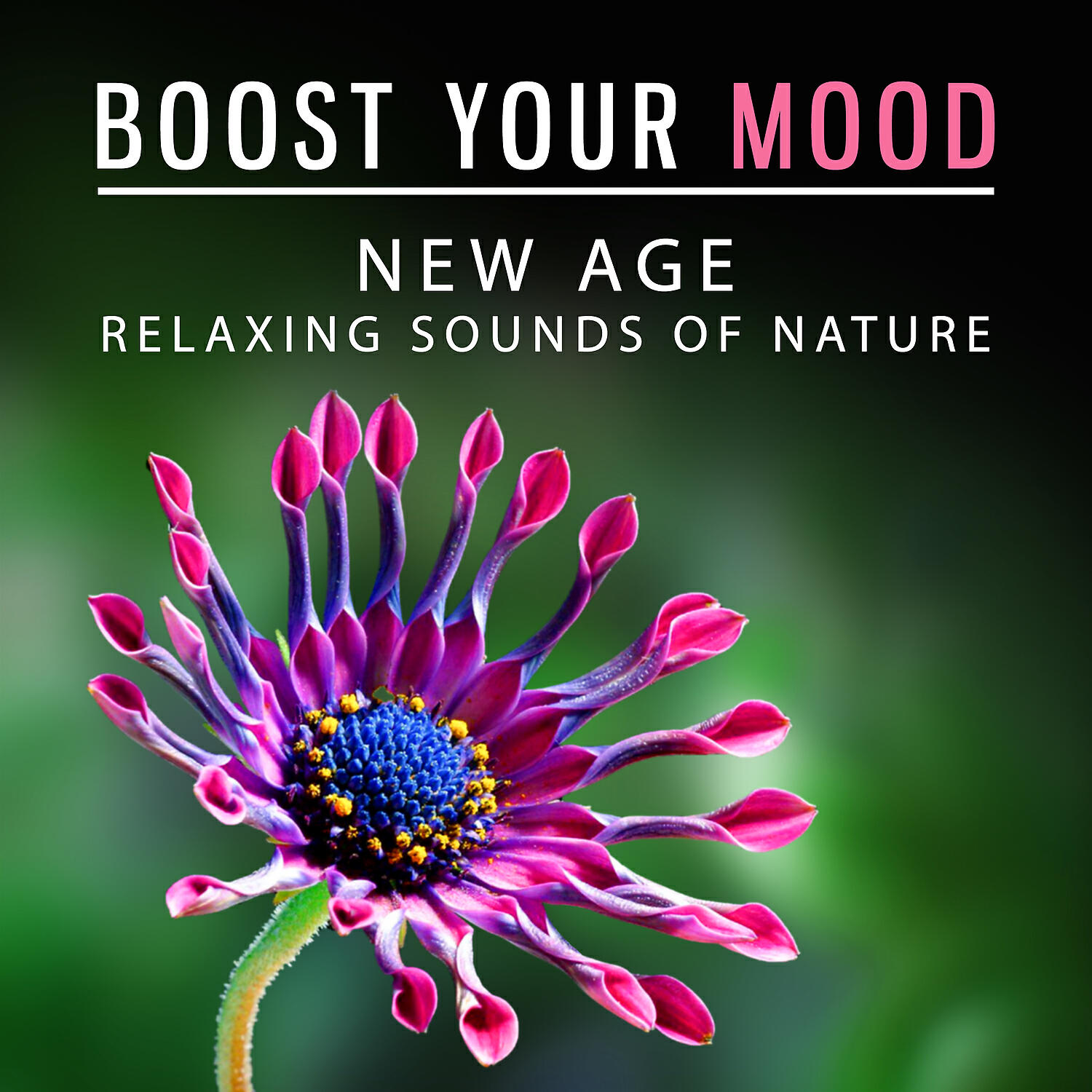 Relaxation Zone - Boost Your Mood - New Age Relaxing Sounds of Nature