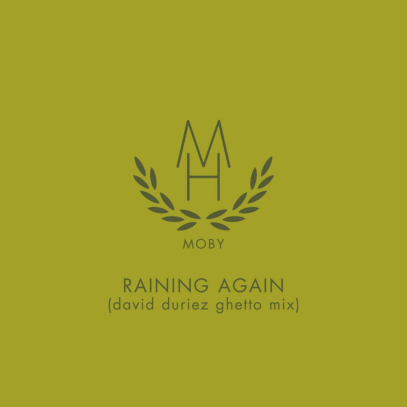 Постер альбома Raining Again (David Duriez Ghetto Mix)