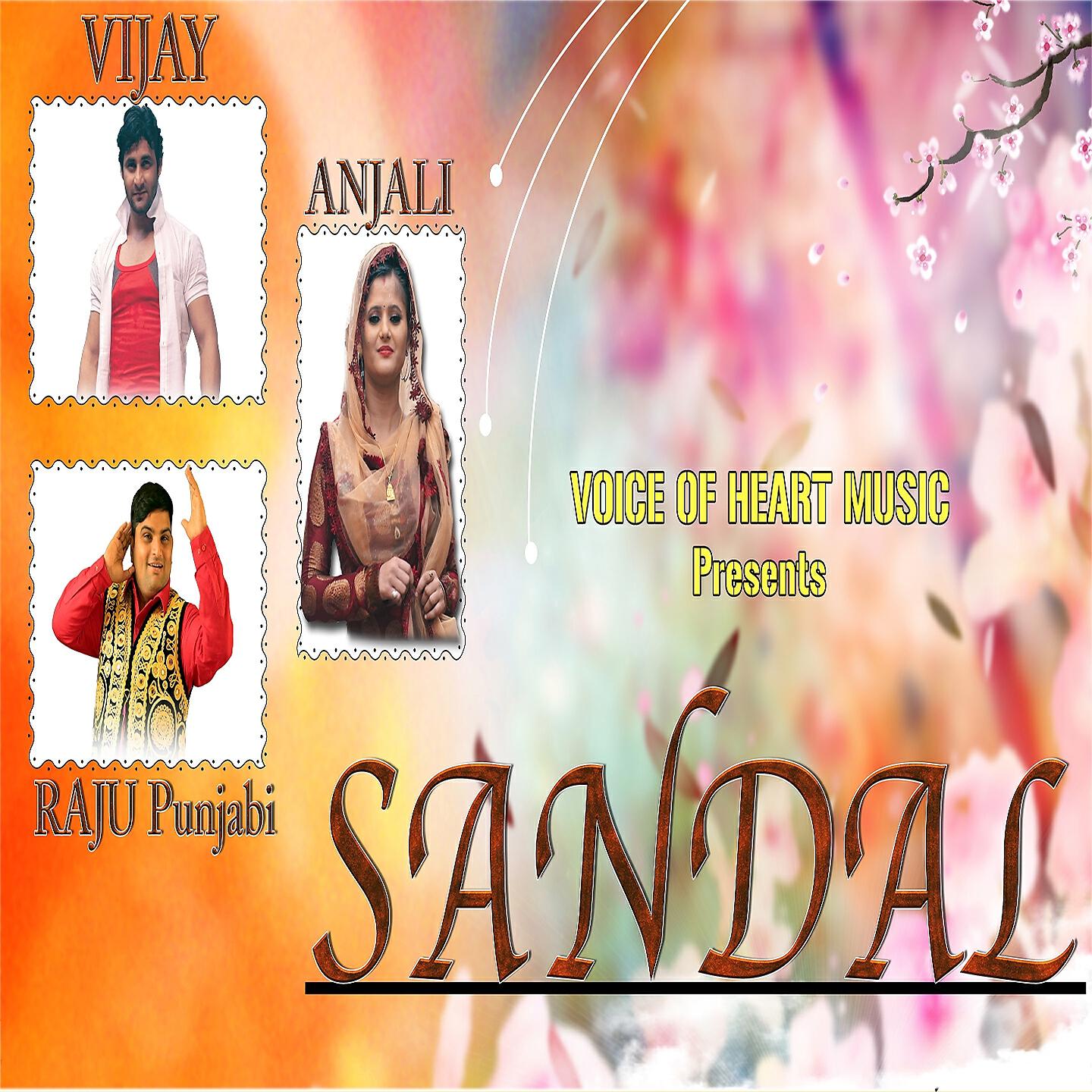 Raju Punjabi - Sandal