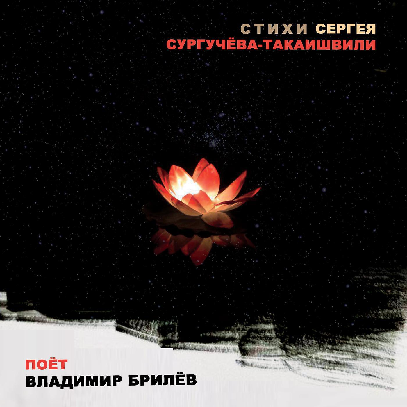 Владимир Брилёв - Очарован тобой