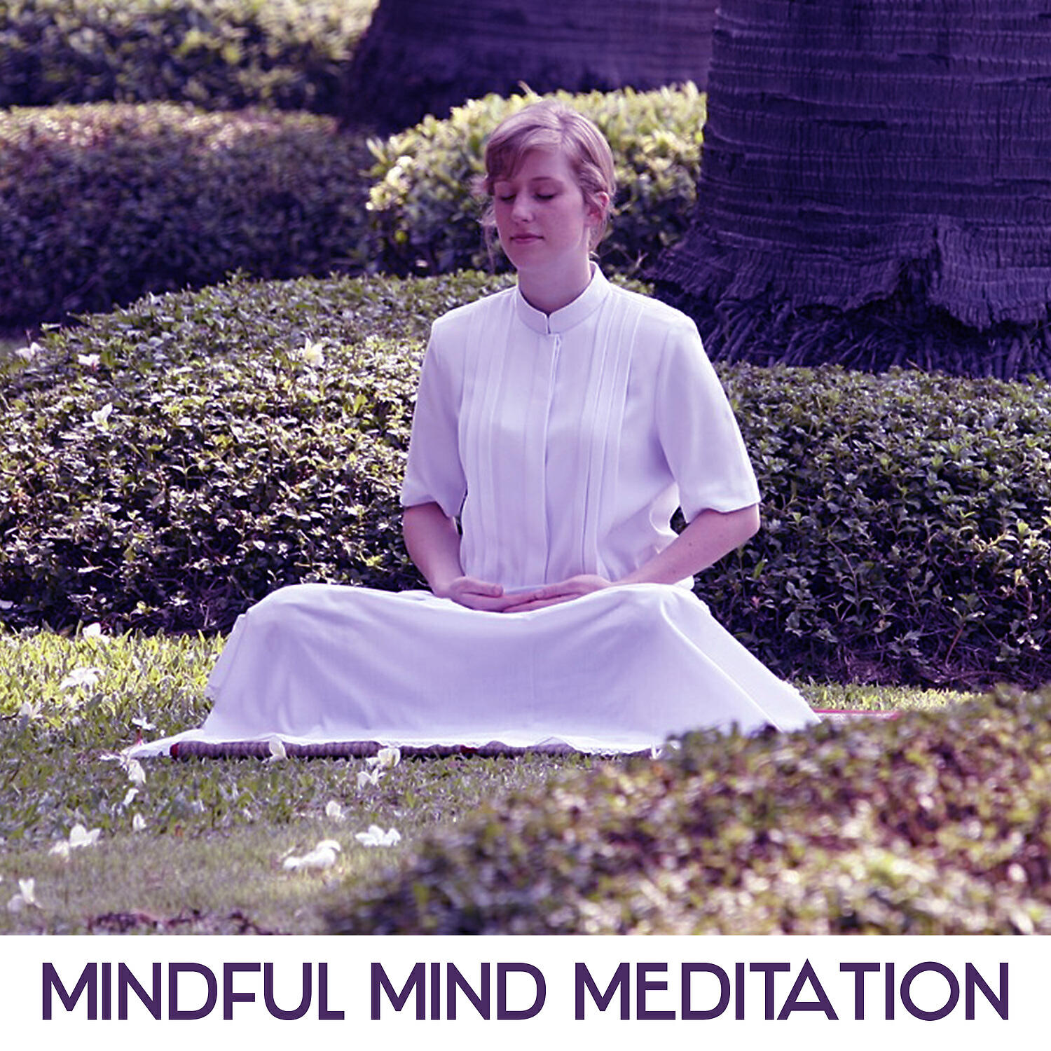 Inner Peace Class - Melatonin