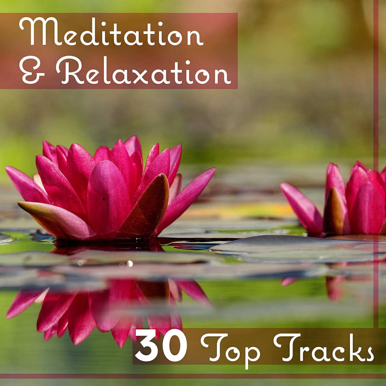 Calm Music Masters Relaxation - Touch of Nature