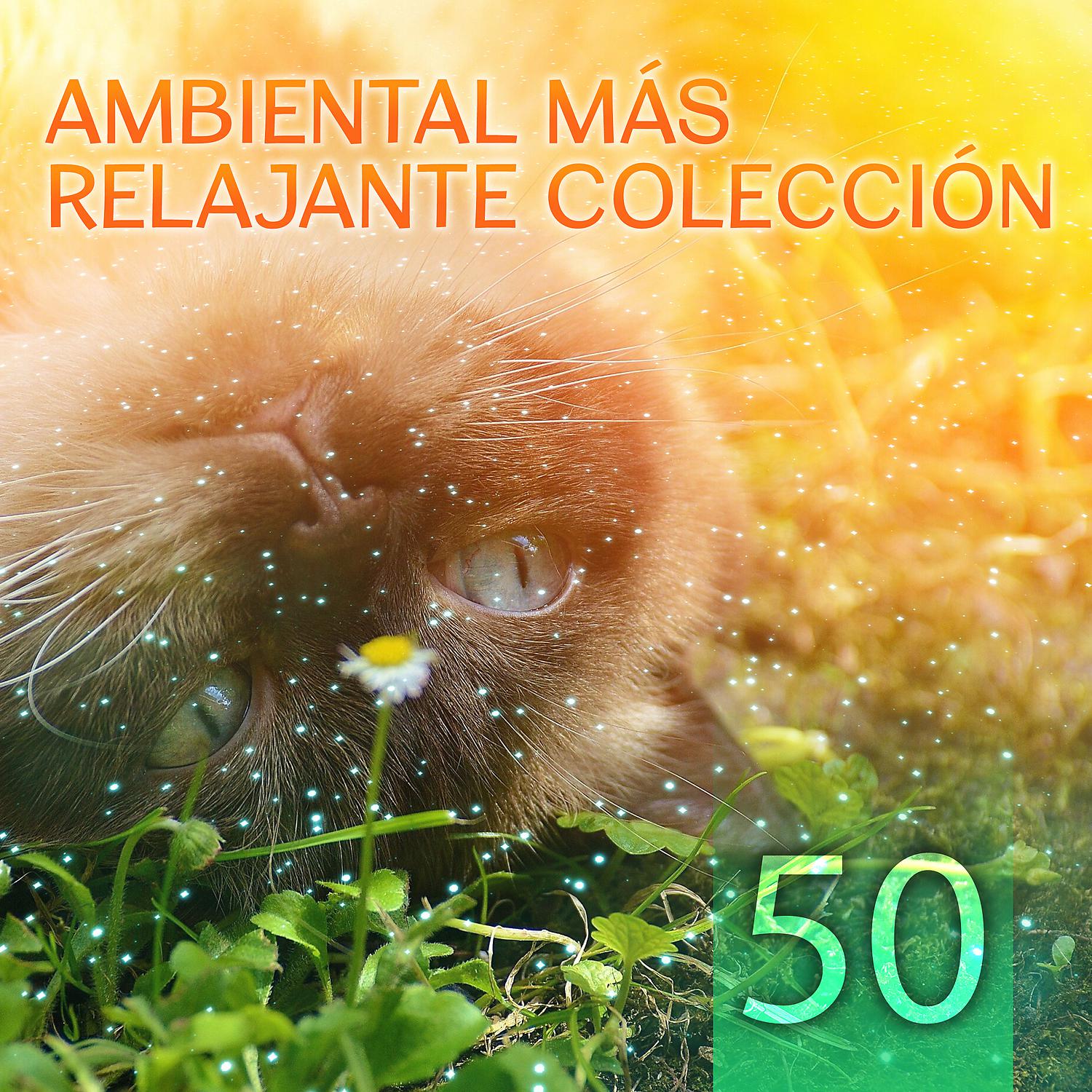 Relajante Academia de Música Zen - Música para Sanar el Alma (Sonido Fuente de Agua)