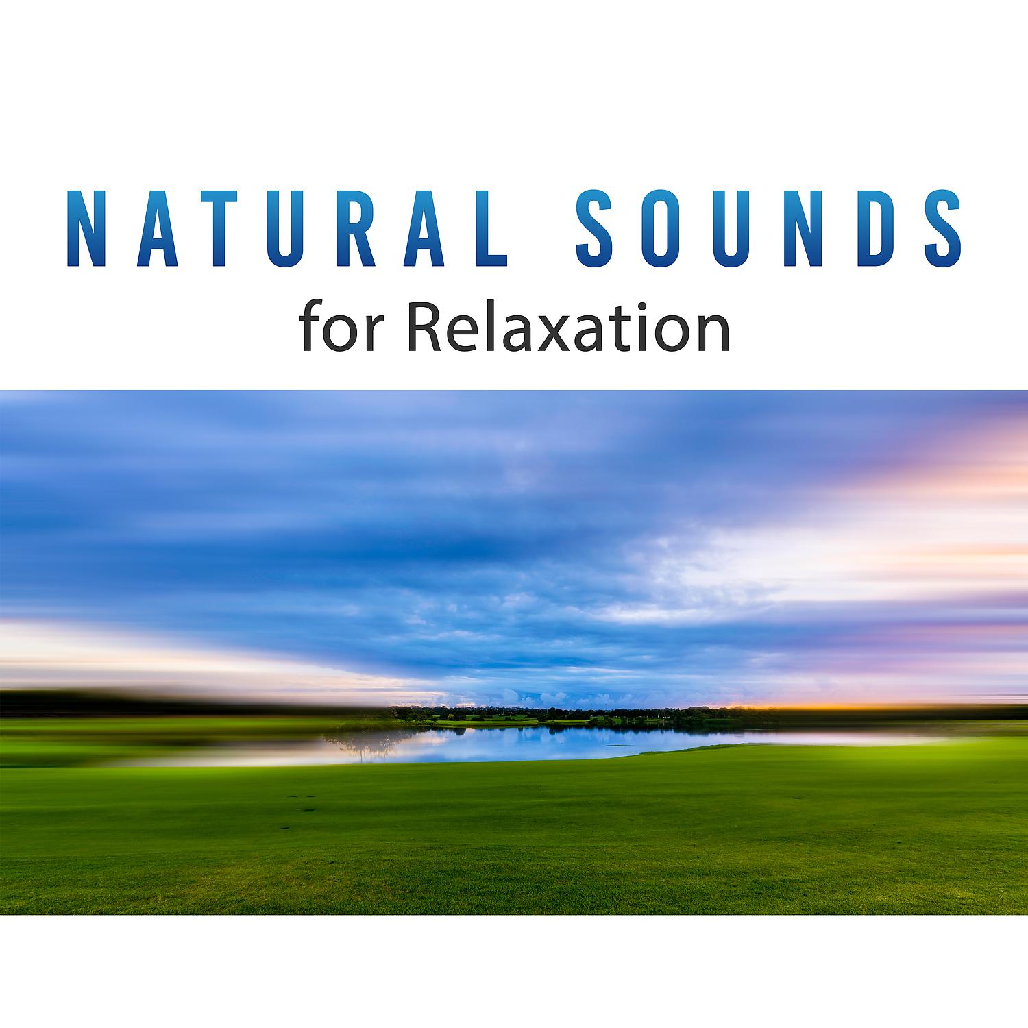 Постер альбома Natural Sounds for Relaxation – Deep Relaxing Nature Sounds, Natural Music, Forest Sounds, Water Music