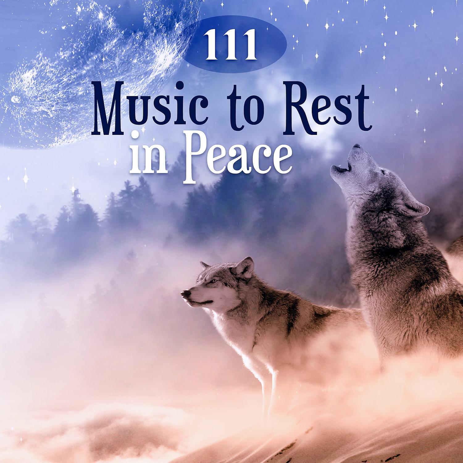 Постер альбома 111 Music to Rest in Peace: Songs & Nature Sounds for Deep Sleep, White Noise for Dreaming, Celtic Harp Music, Health, Vitality & Relax the Mind