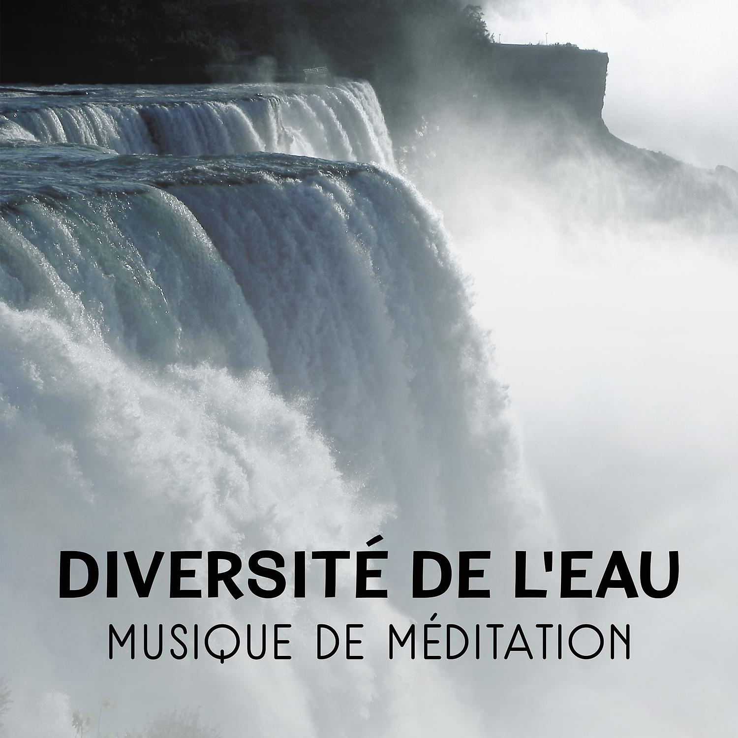 Постер альбома Diversité de l'eau - Musique de méditation, Sons de pluie, Rivière, Ruisseau, Cascade, Grotte humide, Océan, Effets de relaxation de l'eau