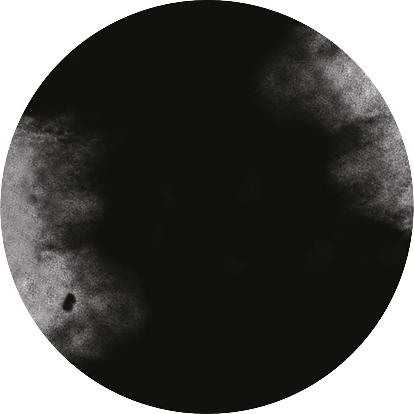 Greymatter - Mesh