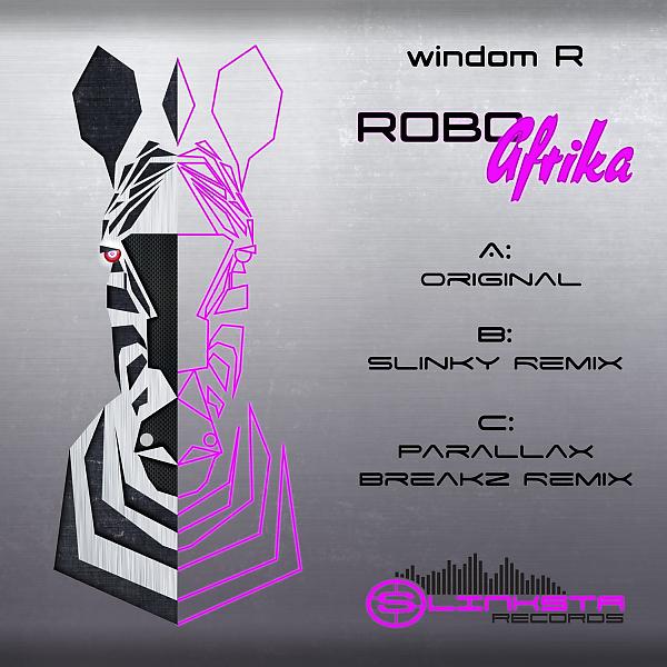 Постер альбома RoboAfrika