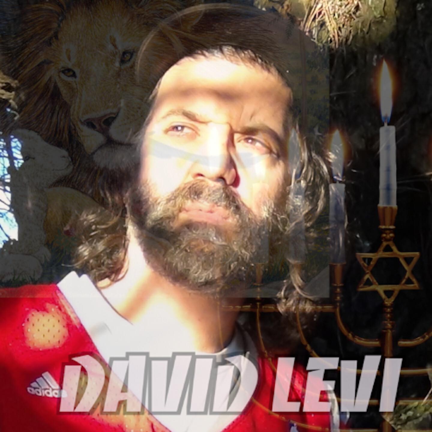 David Levi - Up in Zion (Radio Edit)