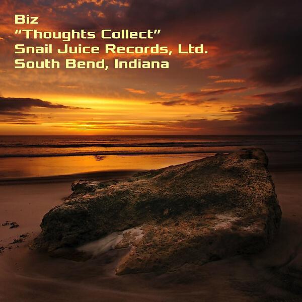 Biz - Thoughts Collect