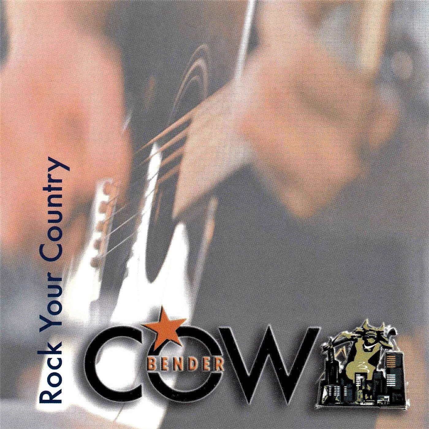 Постер альбома Rock Your Country