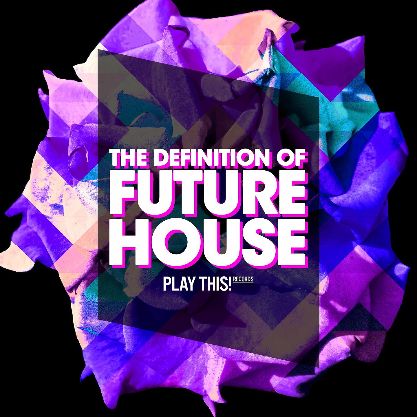 Постер альбома The Definition of Future House
