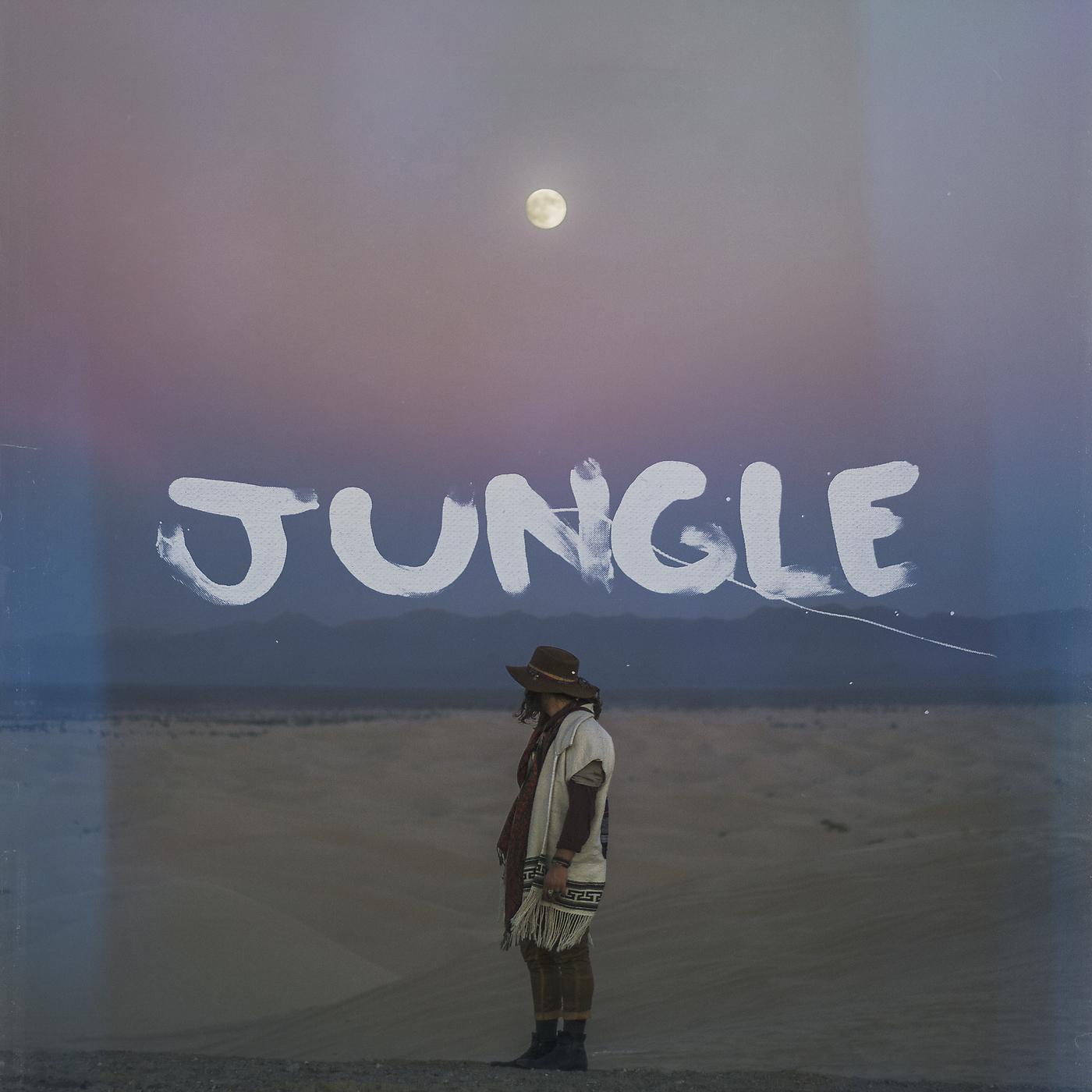 Постер альбома Jungle (Acoustic Version)