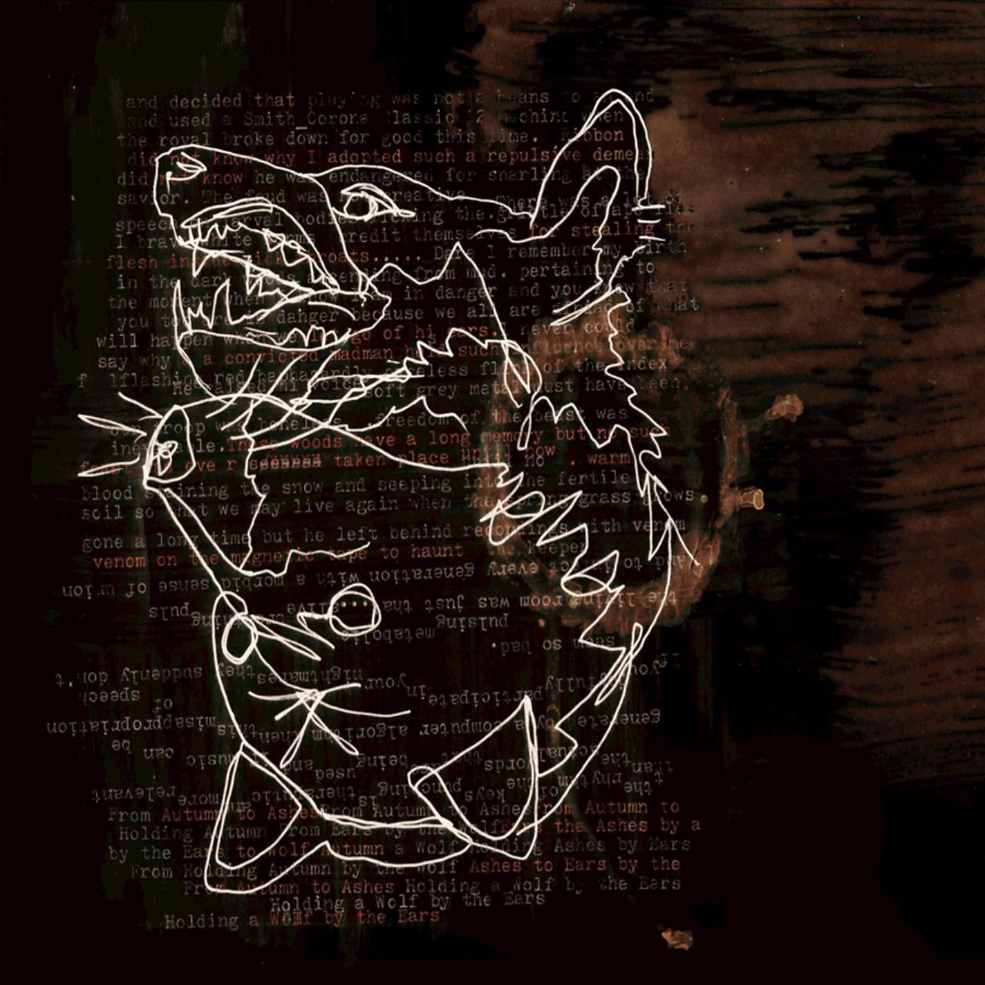 Постер альбома Holding a Wolf By the Ears (Bonus Version)