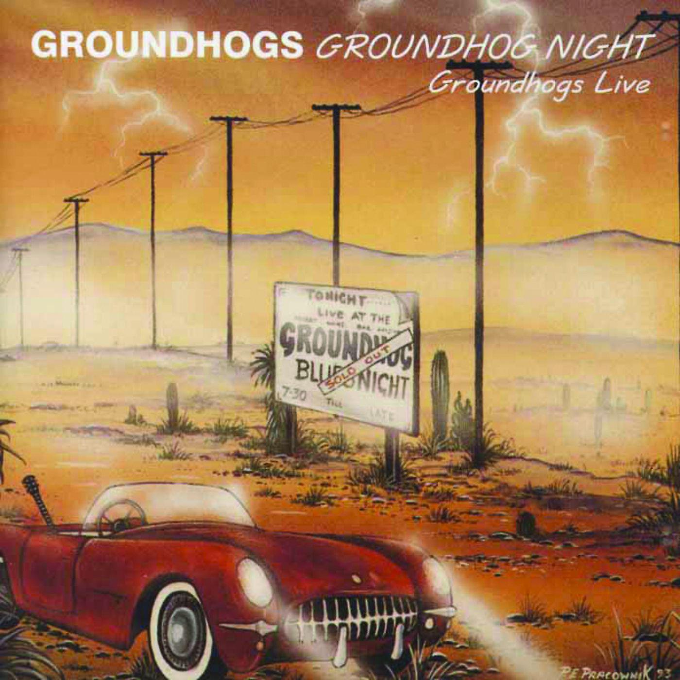 Постер альбома Groundhogs Night Live