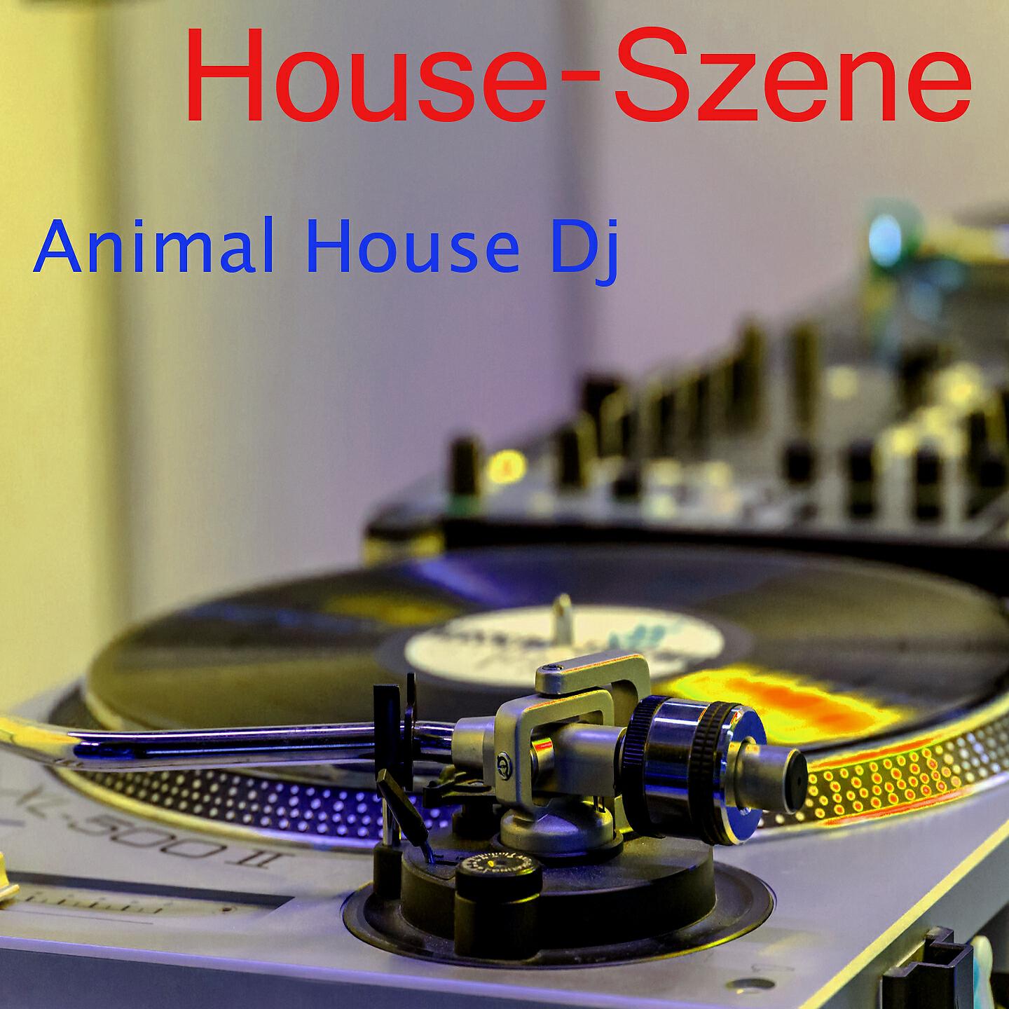 Animal House DJ - Untergrund