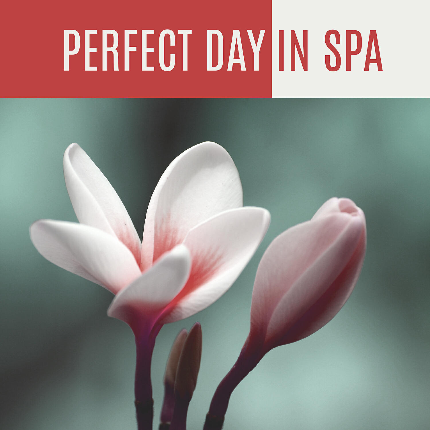 Ambient Music Therapy (Deep Sleep, Meditation, Spa, Healing, Relaxation) - Calm Birds