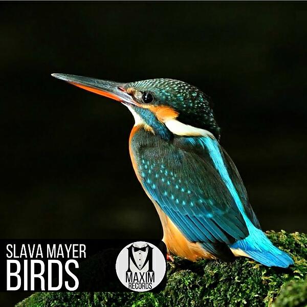 Slava Mayer - Yarabi (Original Mix)