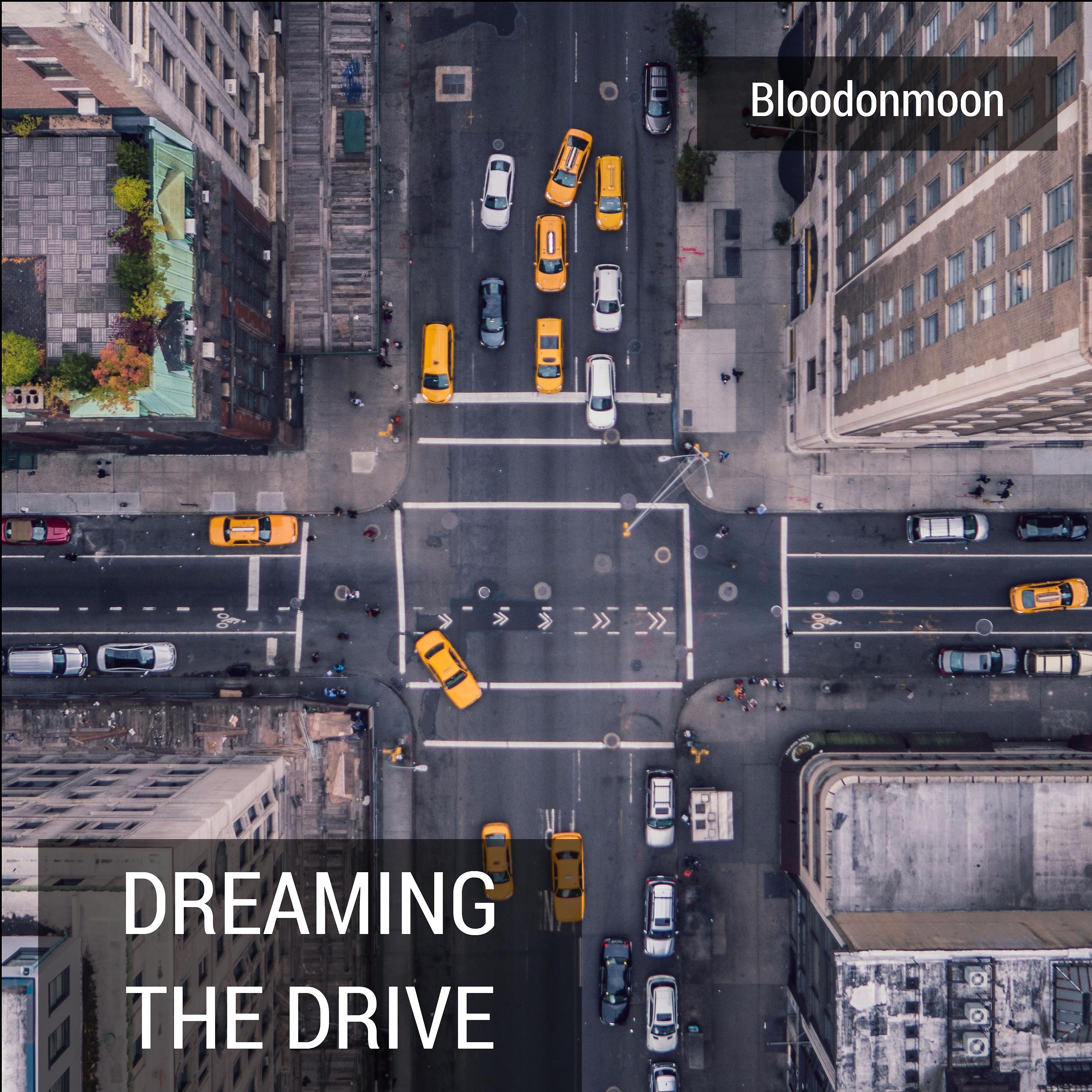 Постер альбома Dreaming the Drive