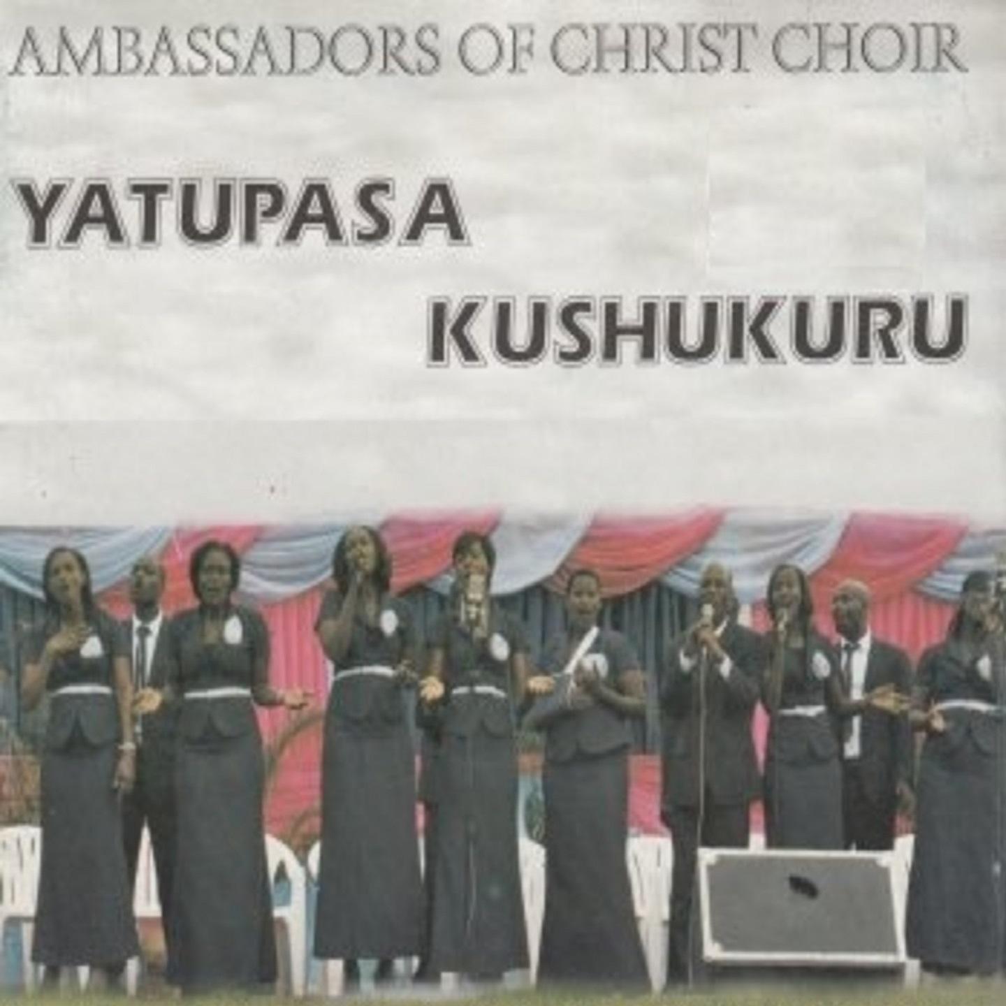 Постер альбома Yatupasa Kushukuru
