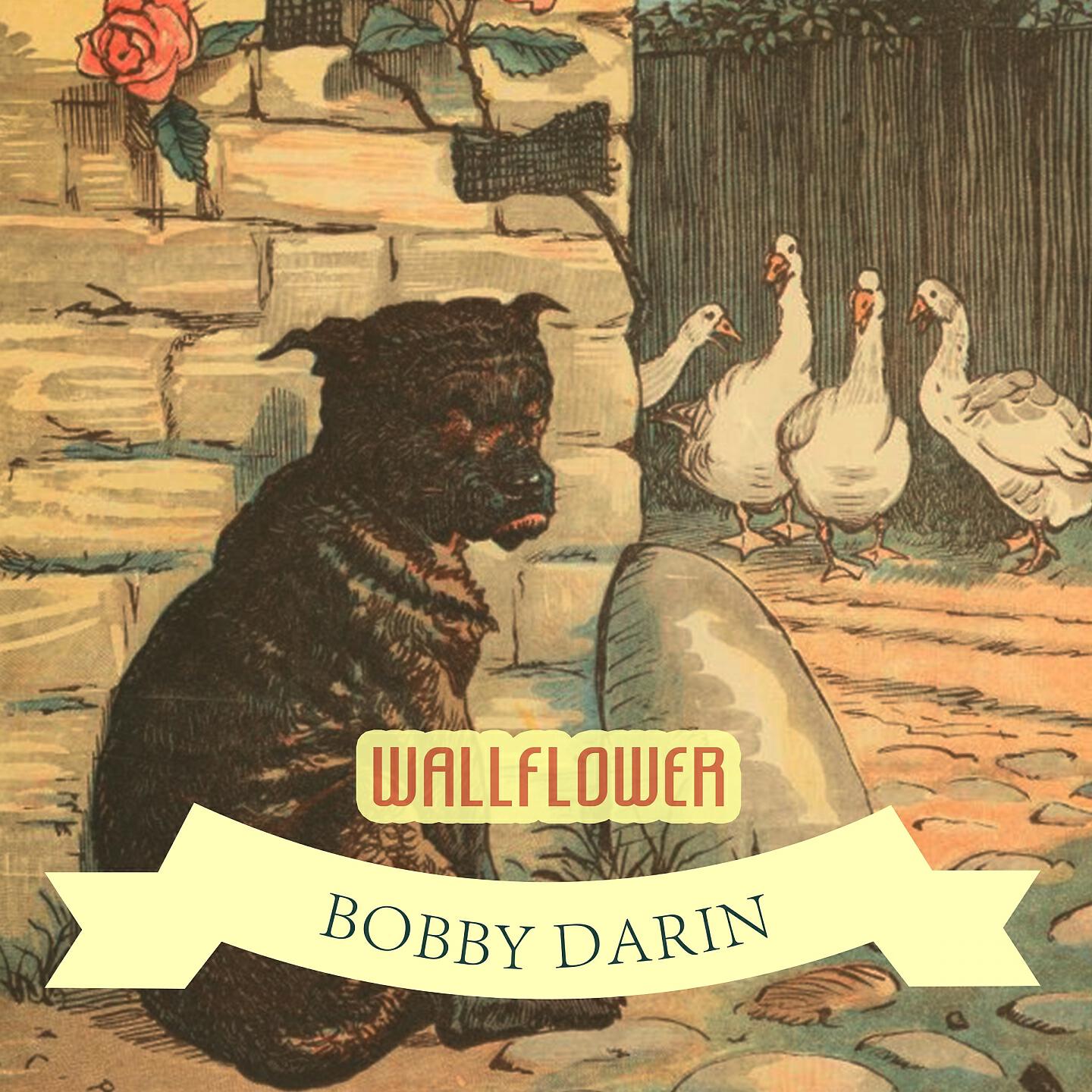 Bobby Darin - Queen of the Hop