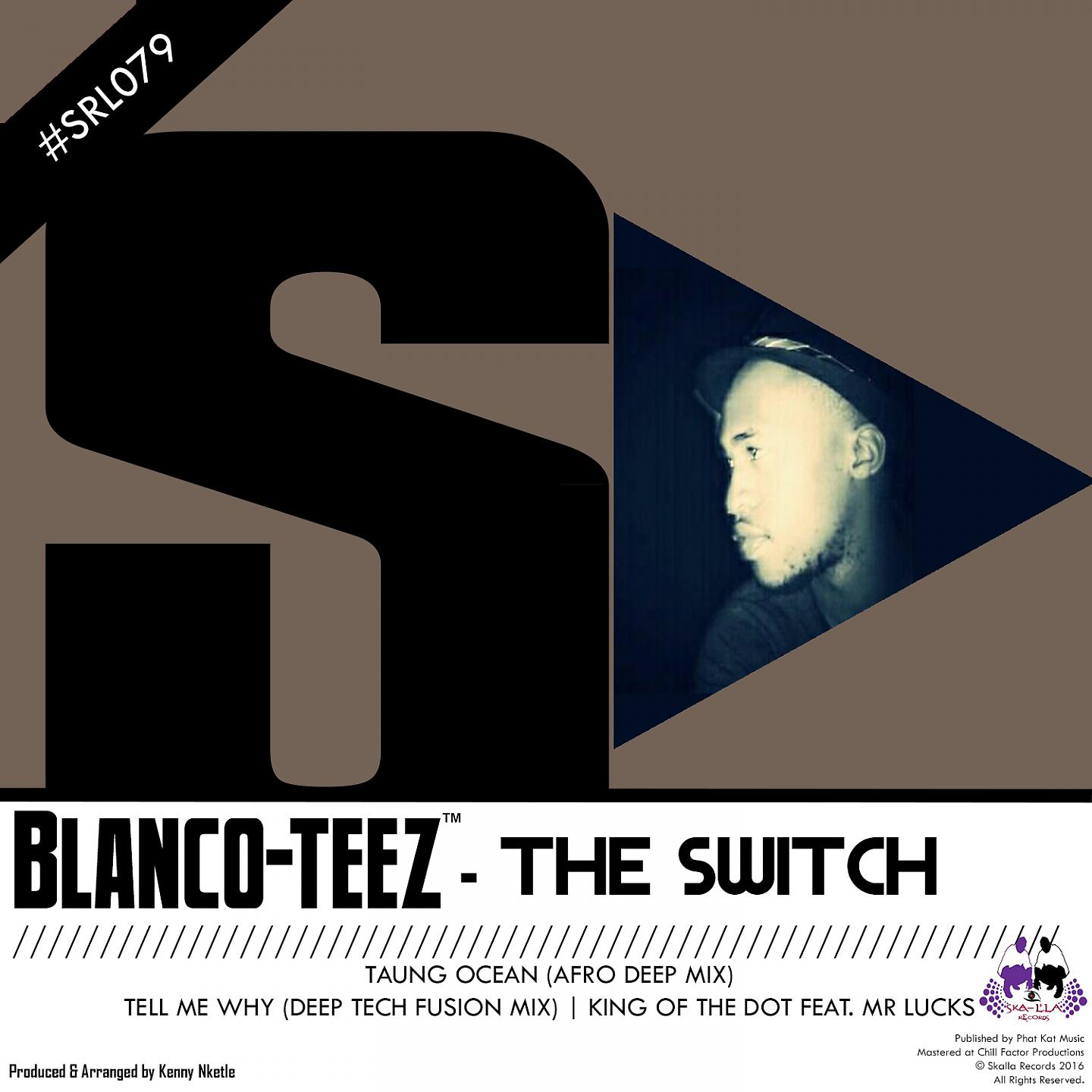 Постер альбома The Switch