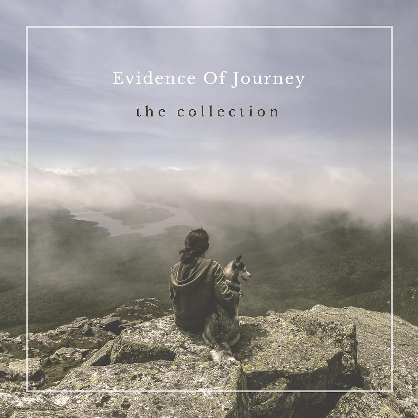Постер альбома Evidence of Journey