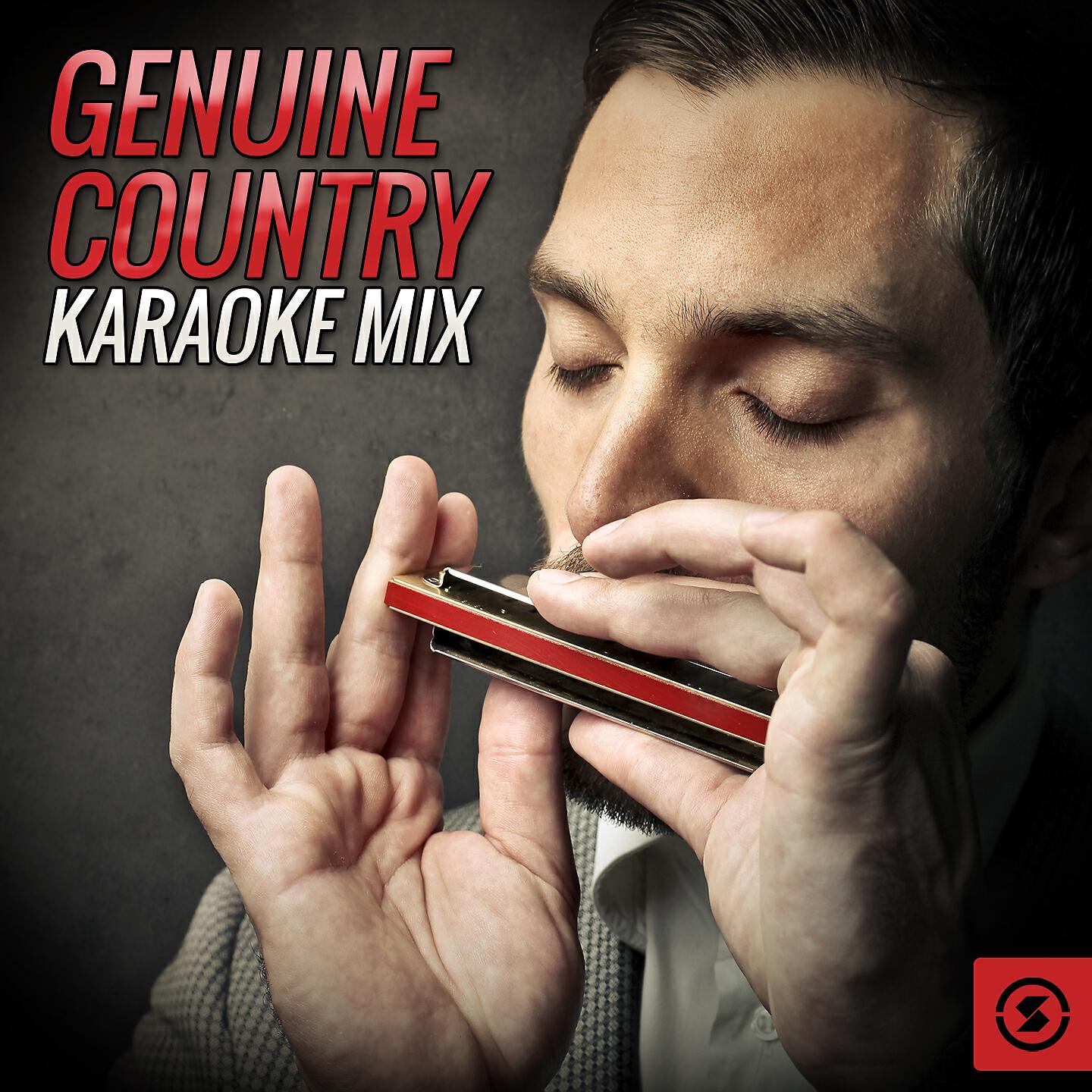 Vee Sing Zone - I Heard The Bluebirds Sing (Karaoke Version)