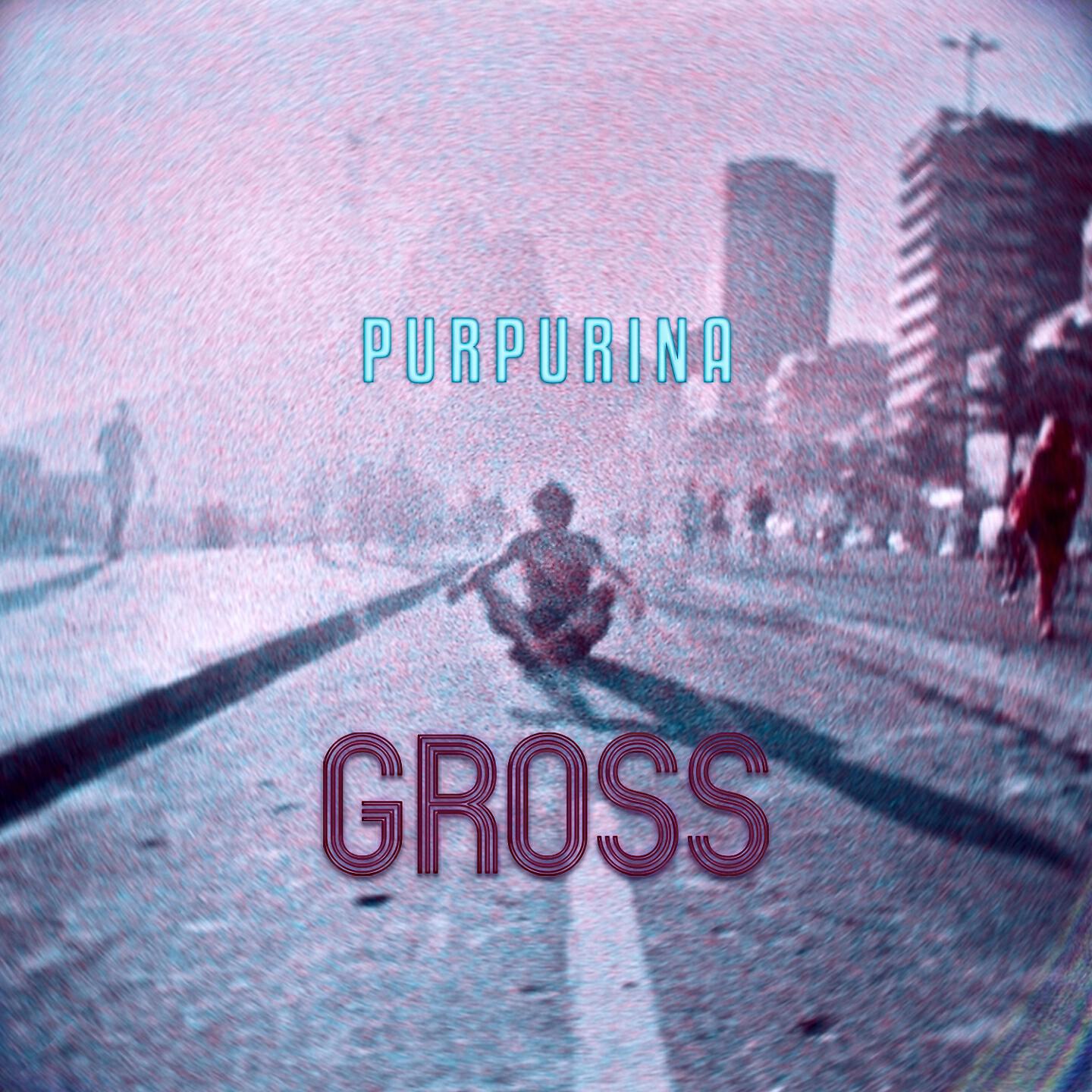 Gross - Purpurina