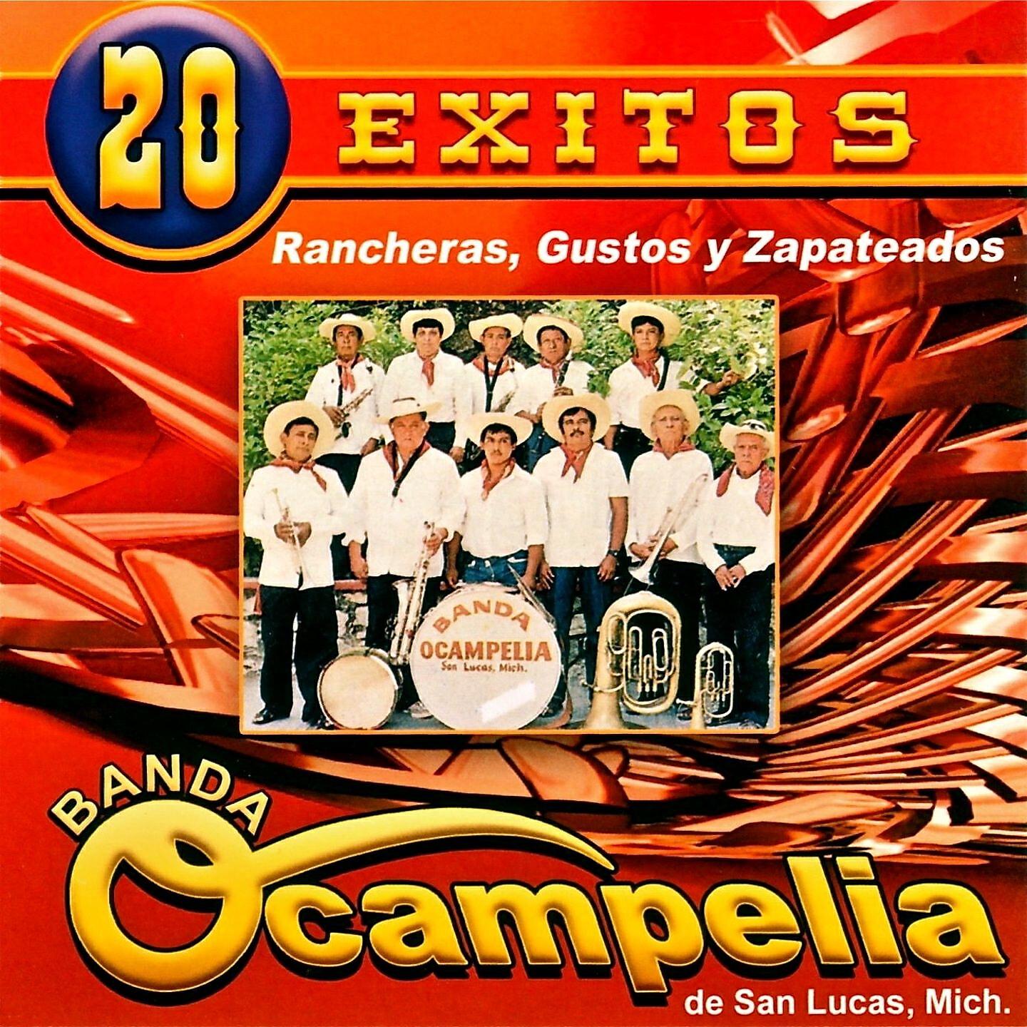 Banda Ocampelia de San Lucas Michoacán - El Guaco