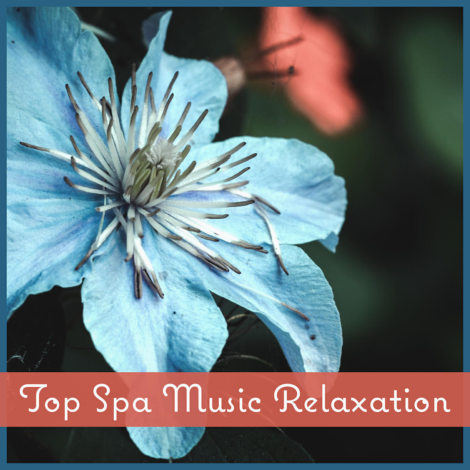 Spa Music Paradise Zone - Reiki Treatment (Health Spa)
