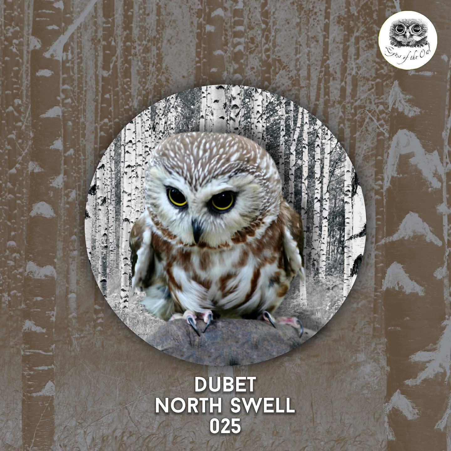 DUBET - North Swell
