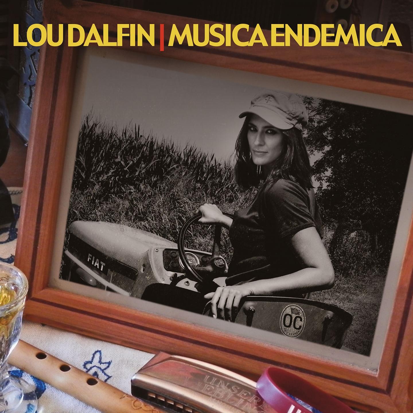 Постер альбома Musica endemica