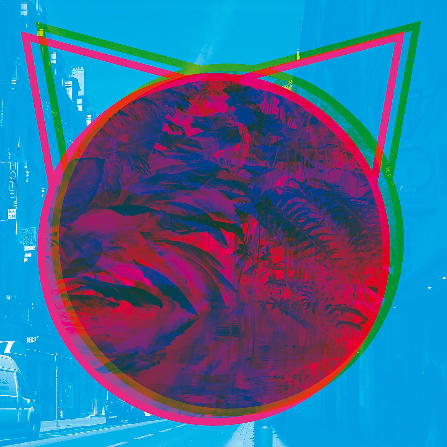 Plaster Cats - Hamelin