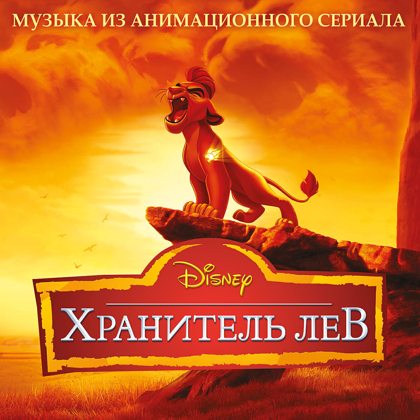 TimON - Bunga the Wise