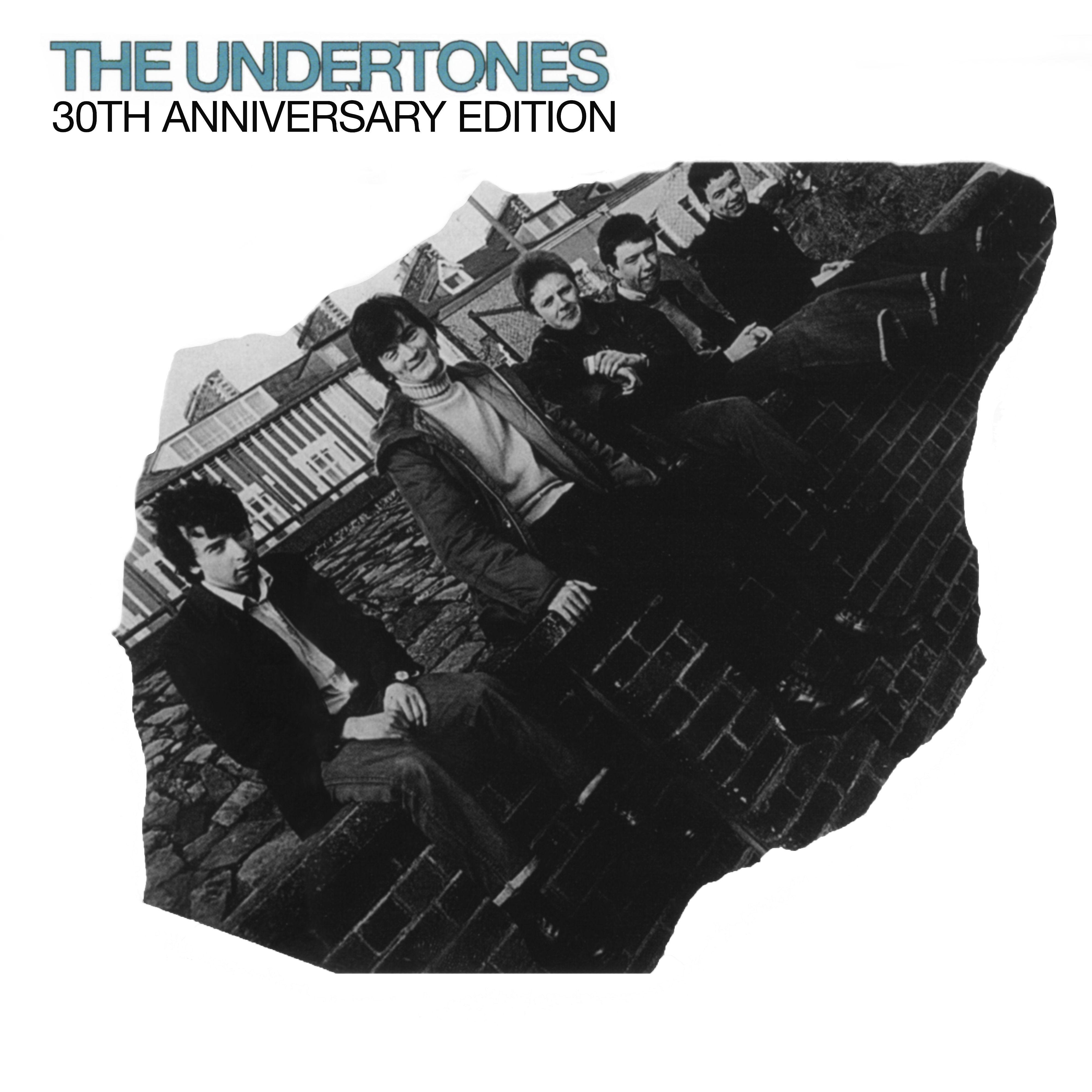 Постер альбома The Undertones (30th Anniversary Edition)