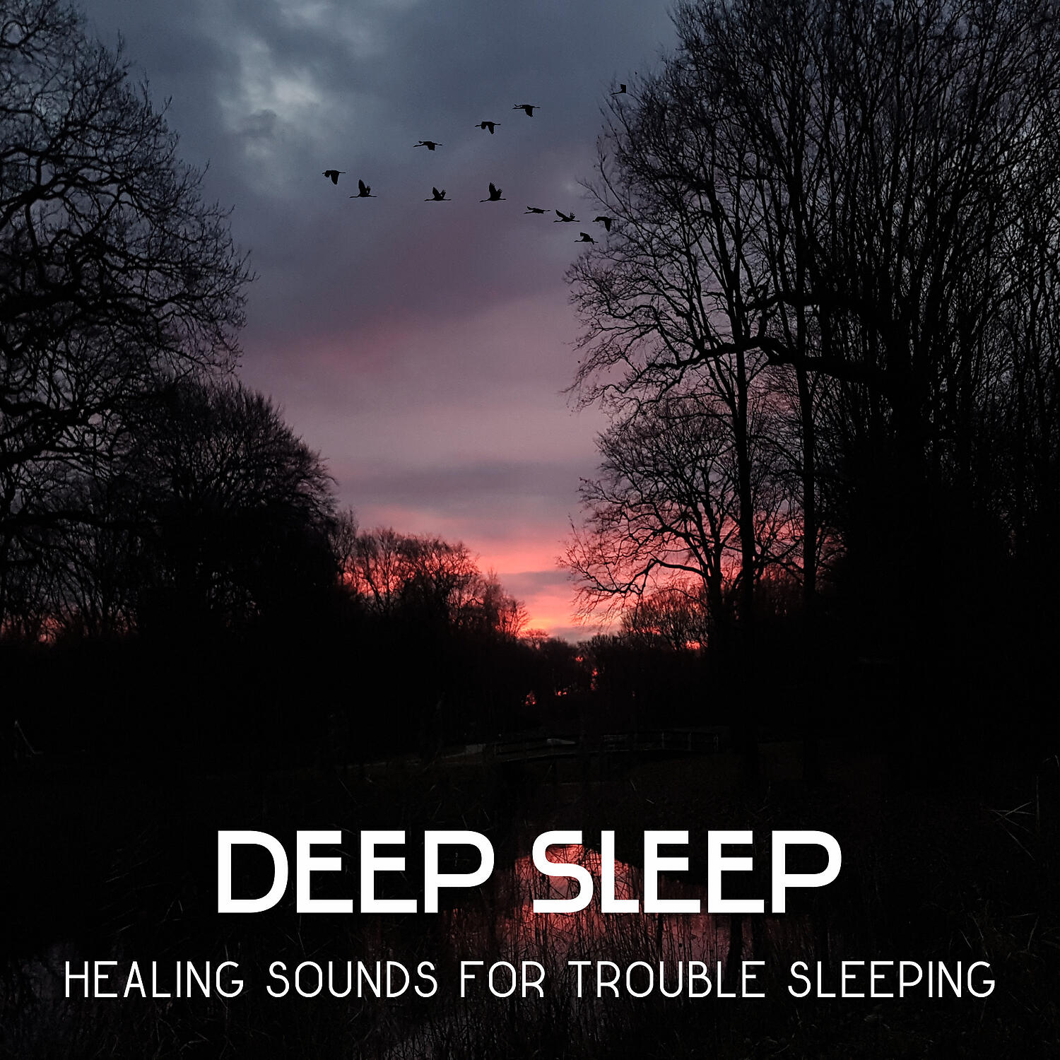 Deep Sleep Sanctuary - Natural Sleep Aid