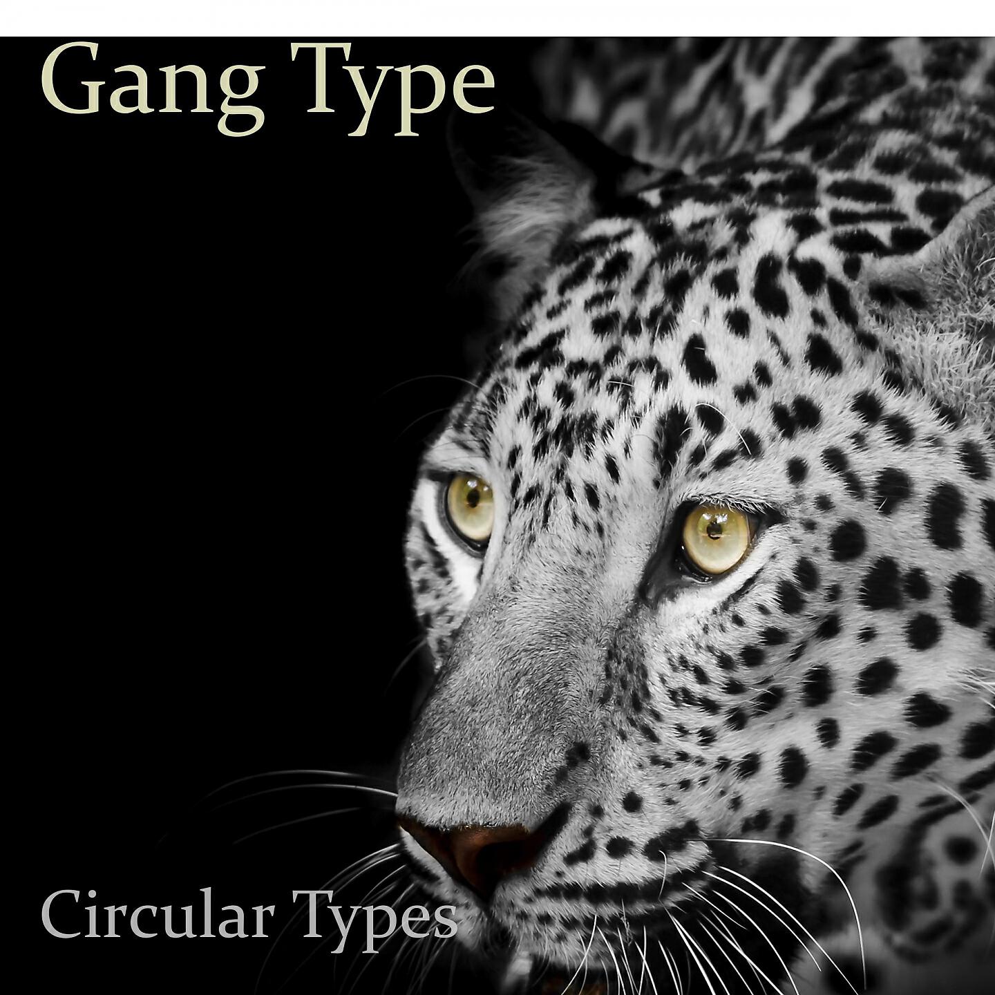 Circular Types - Way For The Morning
