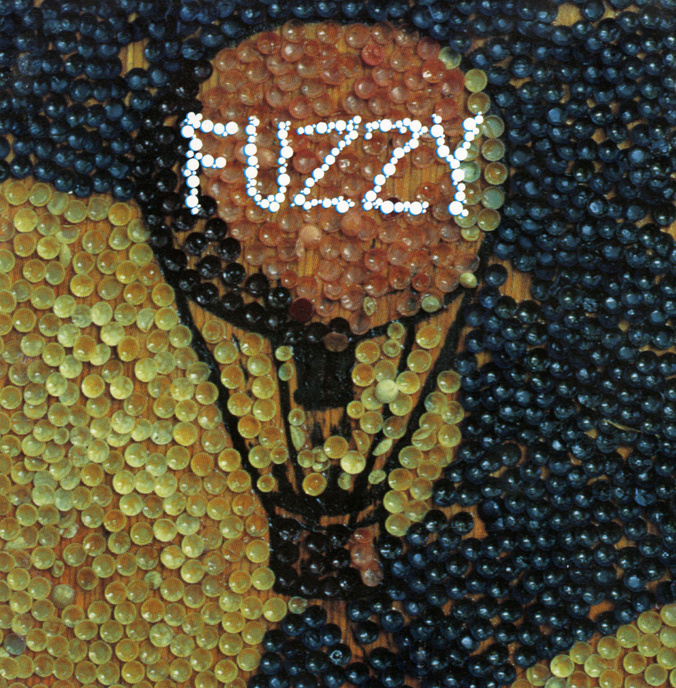 Постер альбома Fuzzy