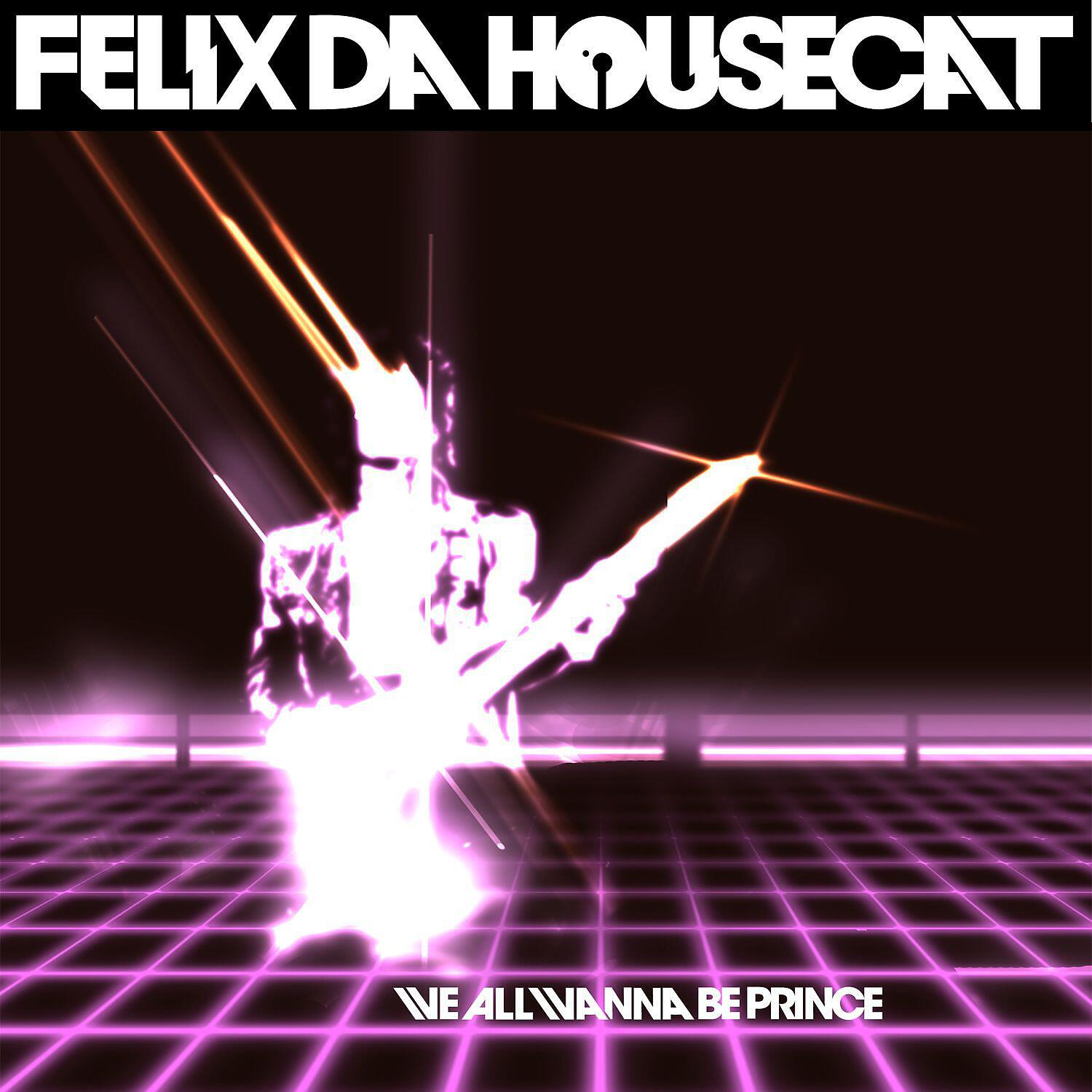 Felix Da Housecat - We All Wanna Be Prince (Danny Howells' Delirious Remix)