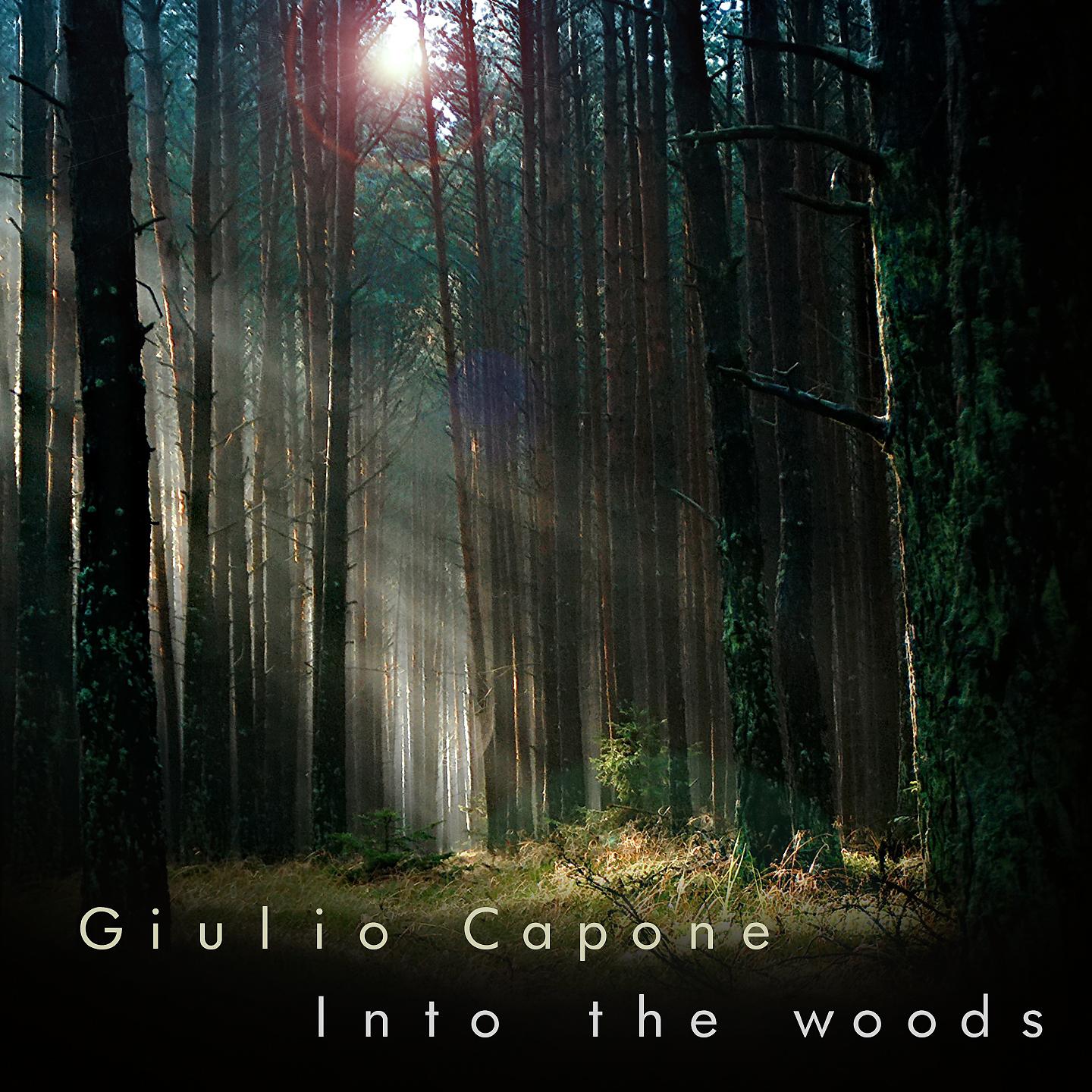 Постер альбома Into the Woods