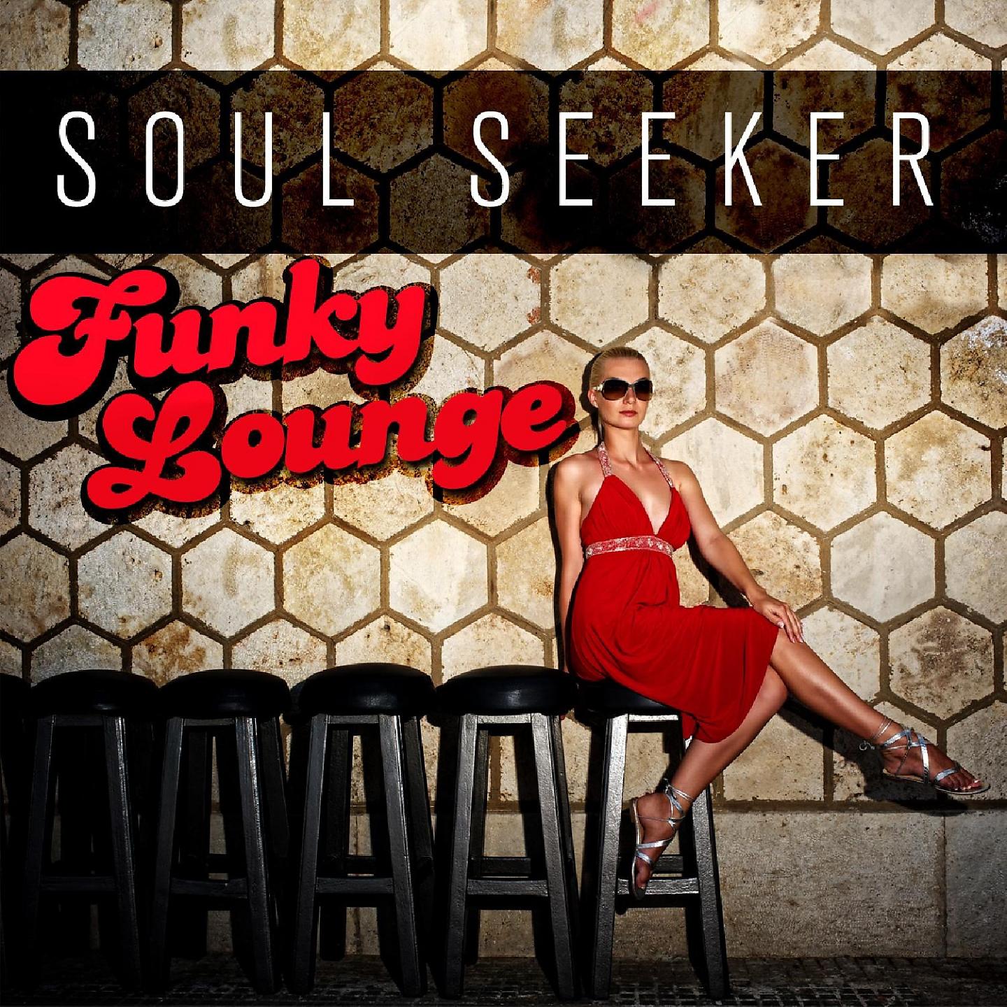 Постер альбома Funky Lounge