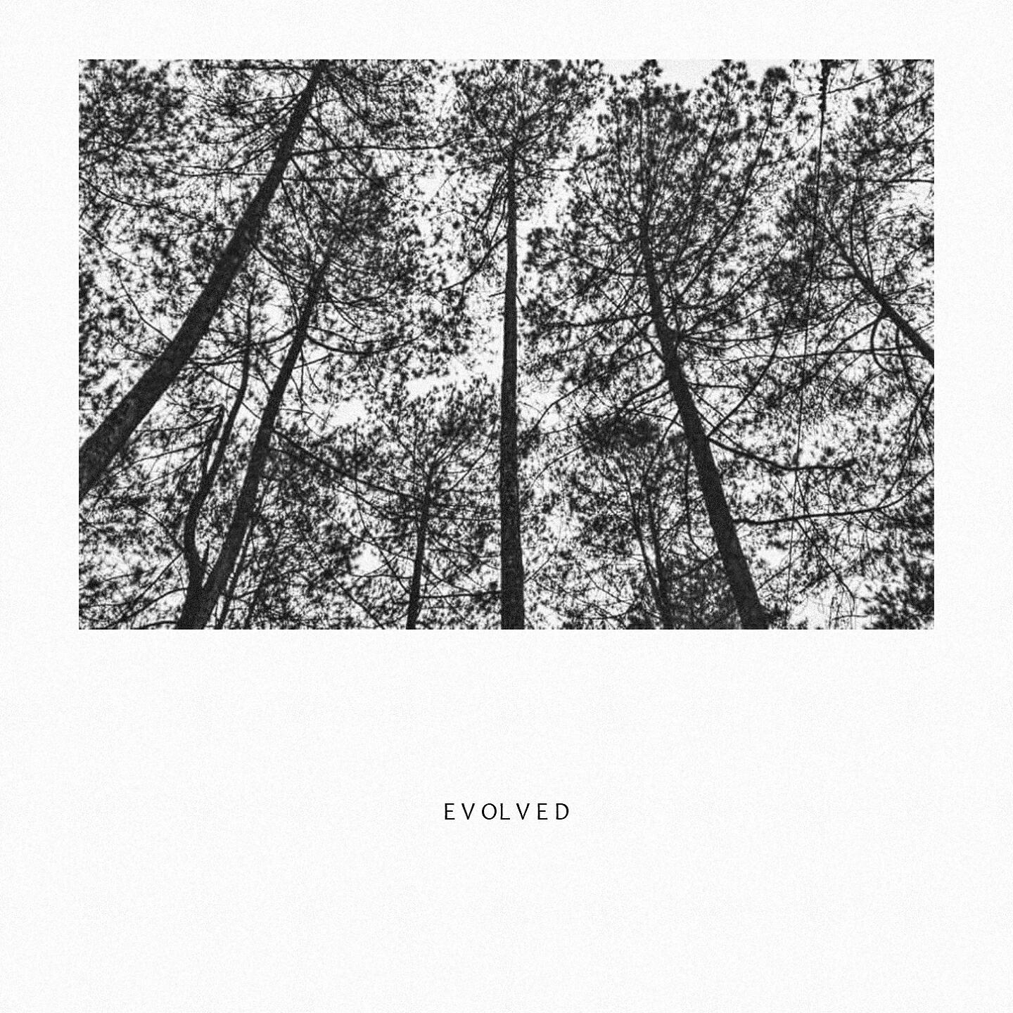 EVOLVED - Bisikan Puisi Hampa