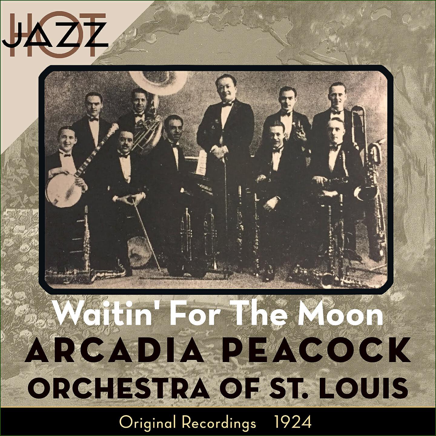 Arcadia Peacock Orchestra of St Louis - Where's My Sweetie Hiding?