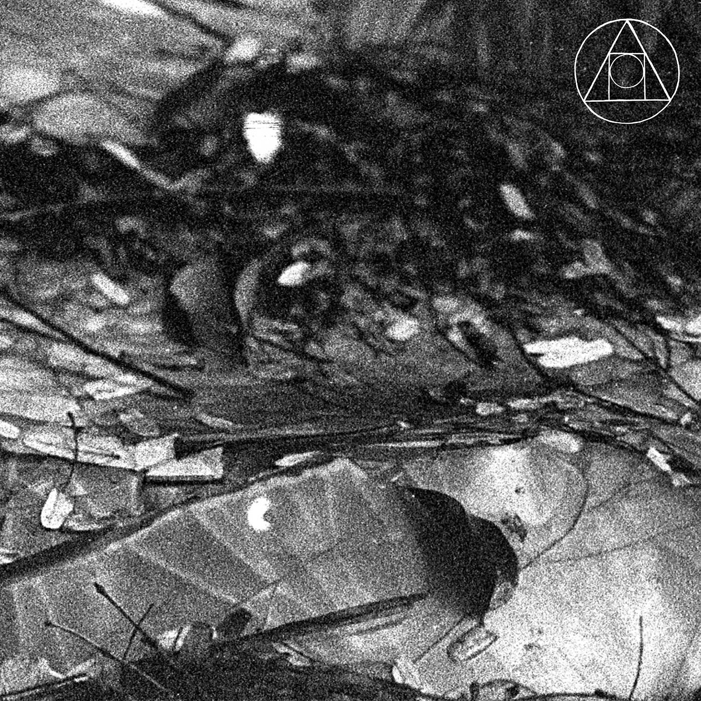 Like Animals - Amaya (Instrumental)